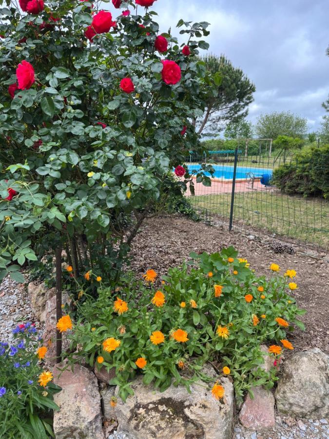 Gite De Fontjalabert En Campagne Tout Confort Lisle-sur-Tarn Exterior foto